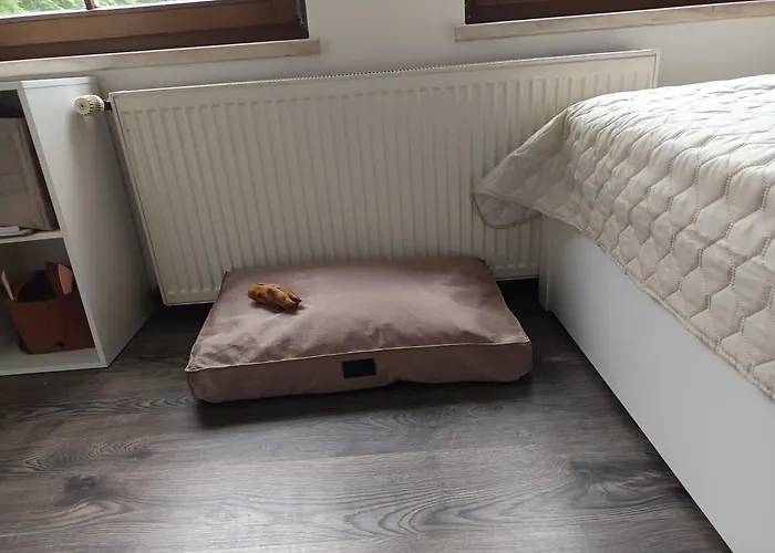 29 Lanovka Apartmán *
