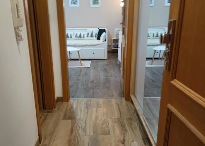 29 Lanovka Apartament *